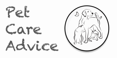 Pet Care Advice